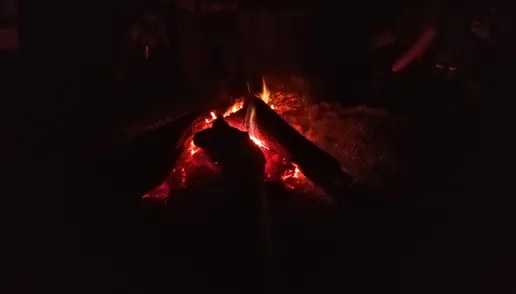 42